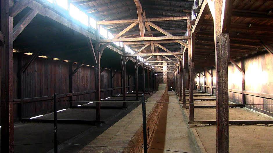 Fotografija devojčice iz Aušvica