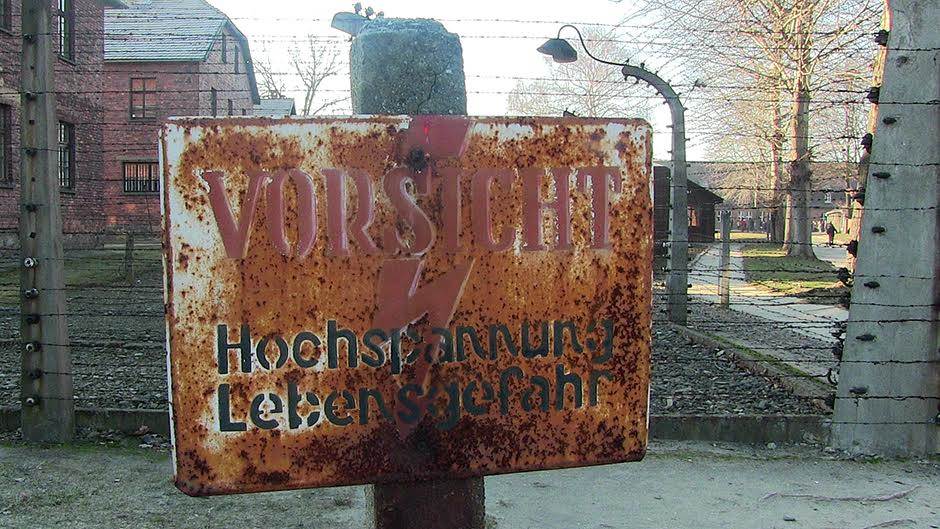 Fotografija devojčice iz Aušvica