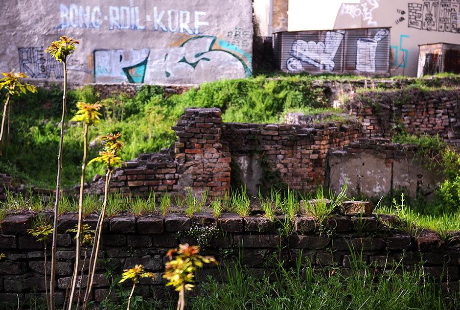 Istorija -  Bombardovanje Beograda - Stradanje Narodne biblioteke