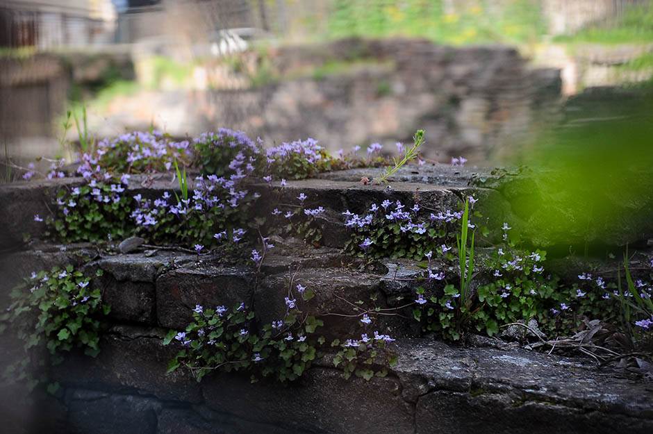Istorija -  Bombardovanje Beograda - Stradanje Narodne biblioteke