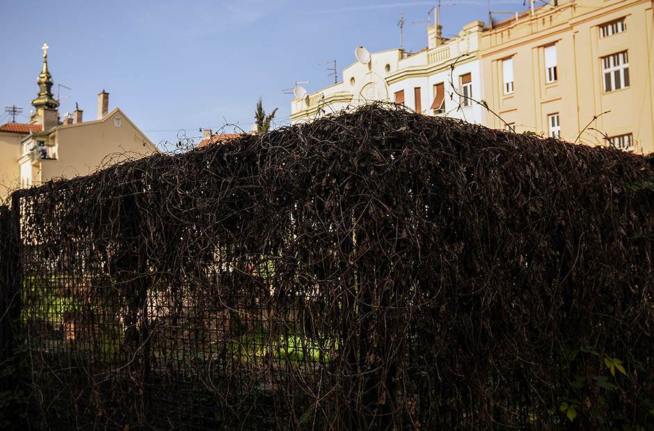 Istorija -  Bombardovanje Beograda - Stradanje Narodne biblioteke