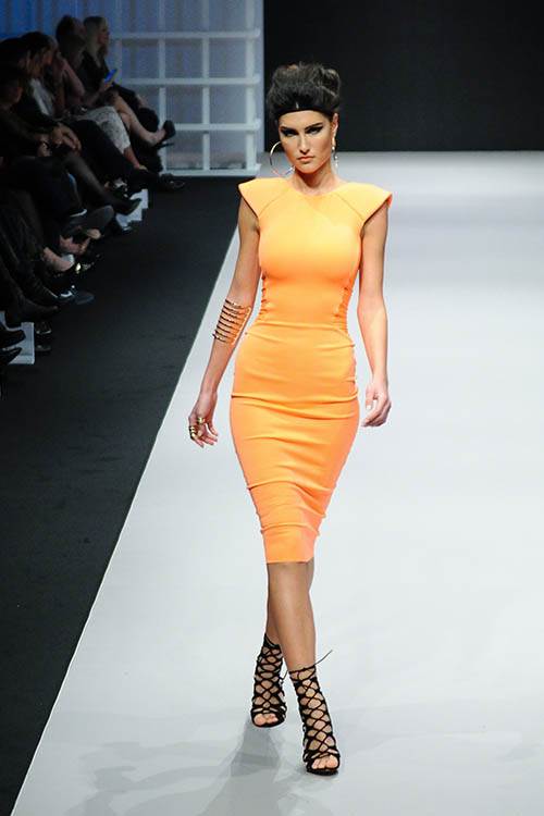 Melina Džinović tražila da joj biznismen kupi avion?