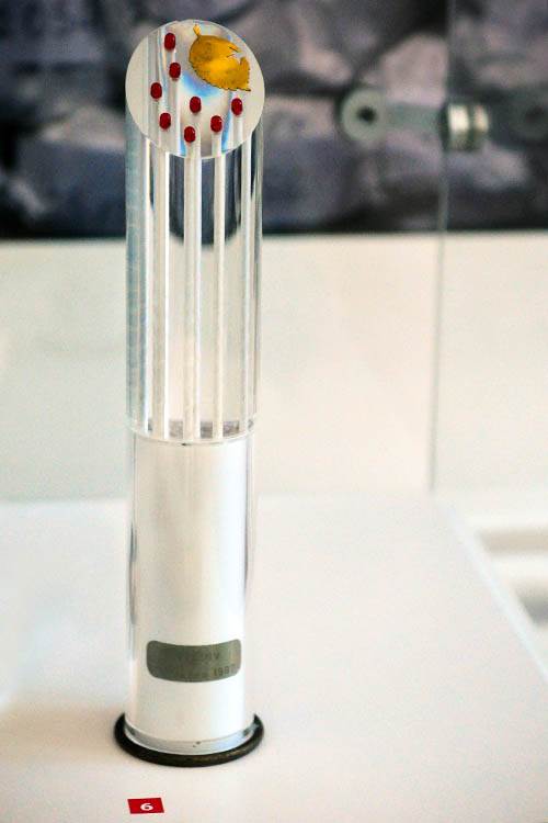 Ovako danas izgleda praunuka Josipa Broza Tita