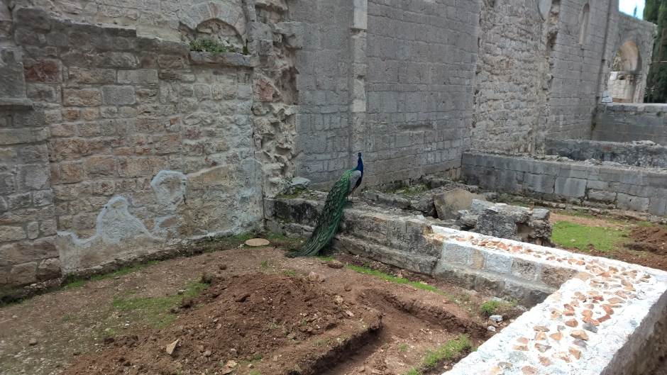 Nemački turista u Dubrovniku užasnut cenama