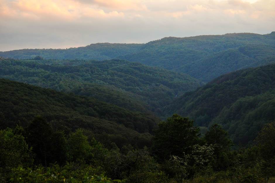 Vlasinsko jezero krase plutajuća ostrva i netaknuta priroda  