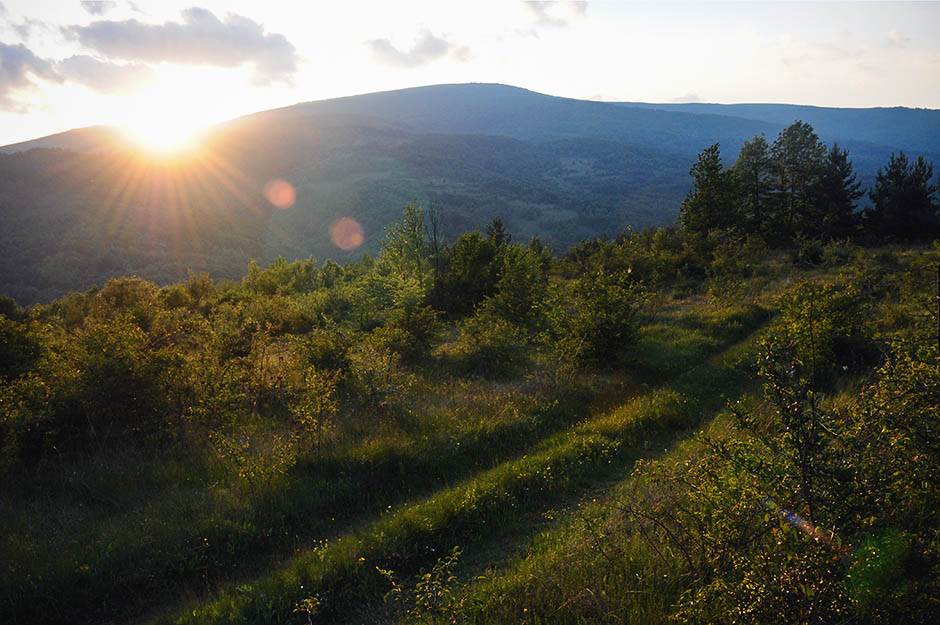 Vlasinsko jezero krase plutajuća ostrva i netaknuta priroda  