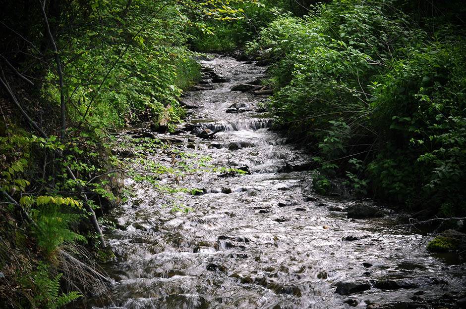 Vlasina i Vlasinsko jezero fotografije 
