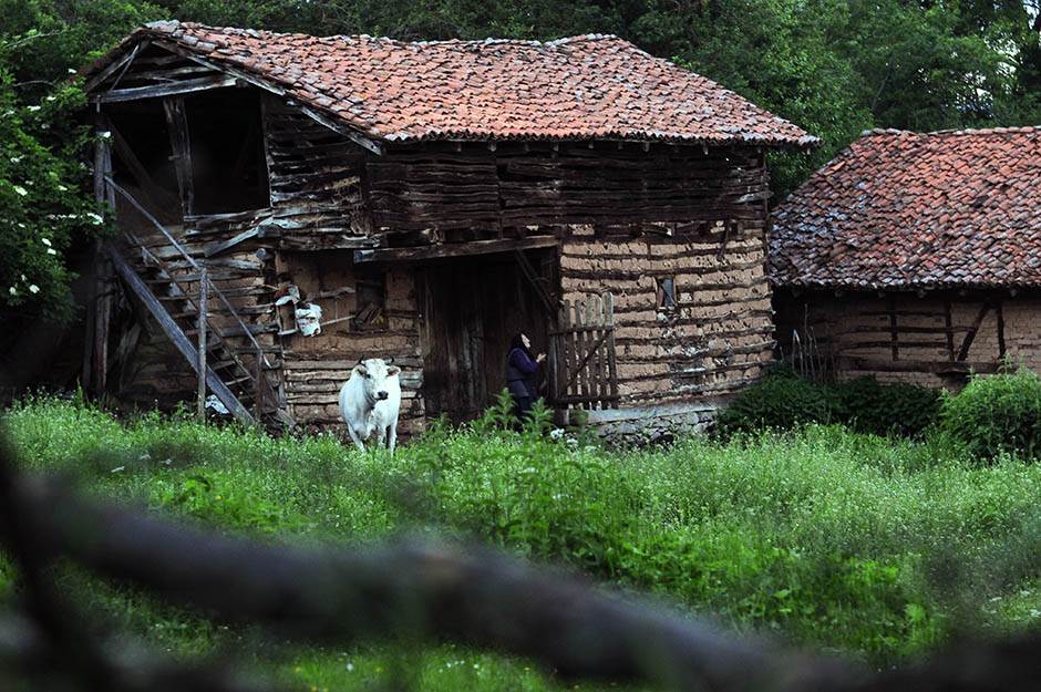 Vlasina i Vlasinsko jezero fotografije 