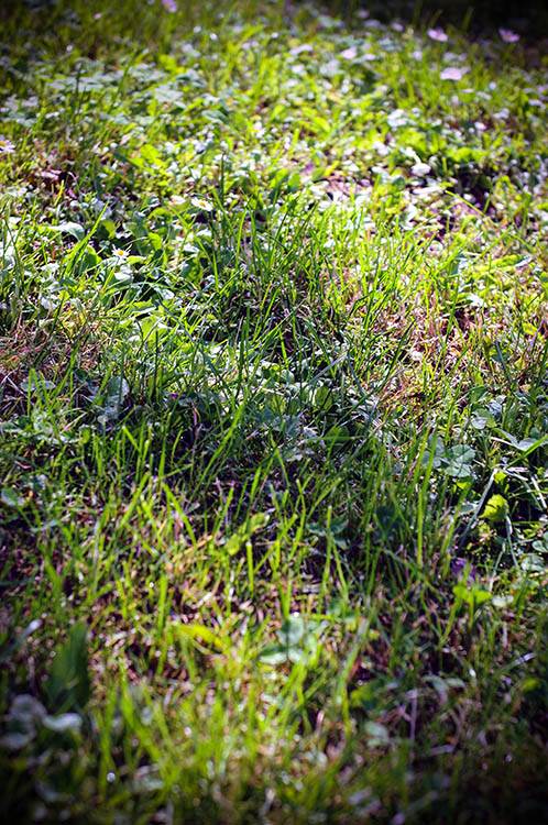 Koliku penziju ima Radoš Bajić?