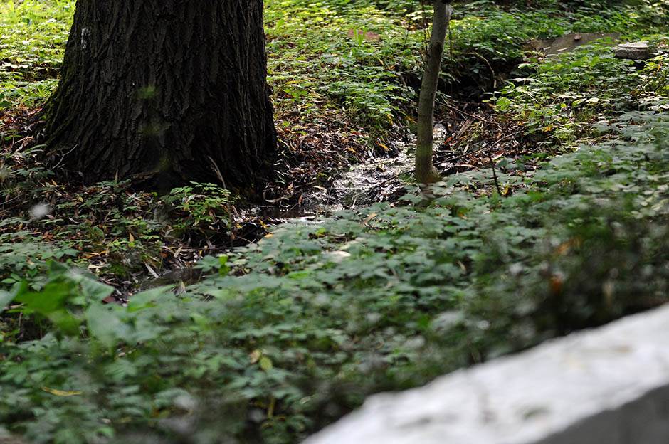 Sveta Petka Paraskeva verovanja i običaj