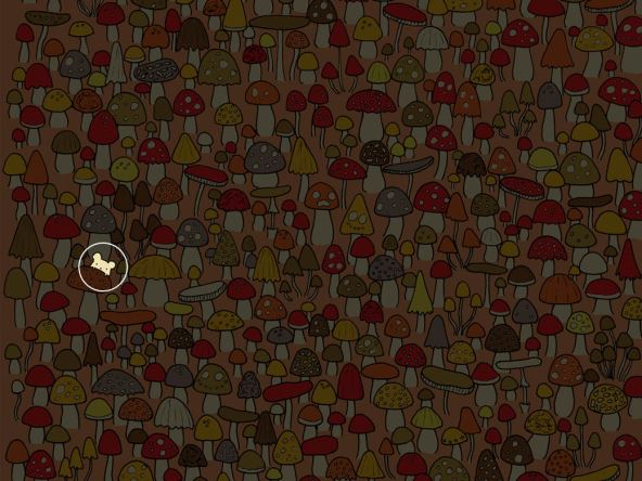 zagonetka pronadjite zivotinju resenje