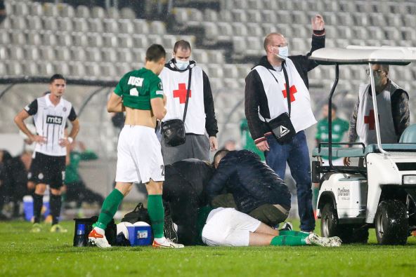 flora partizan  (1)