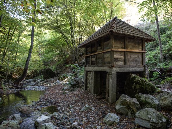 Sava Savanović (7 of 11)