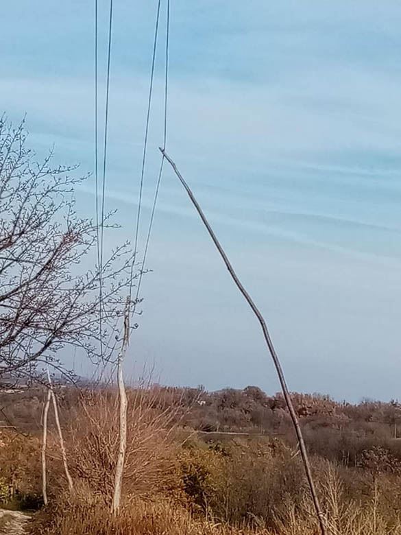 topola donja trnava 2.jpg