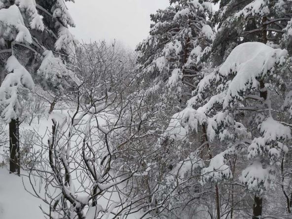 Sneg na Rudniku (2).jpg