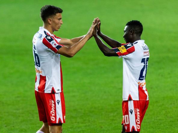 vuk bogdanovic kings kangva.jpg