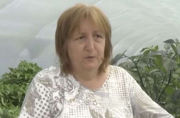 svetlana iz rume koja uzgaja papricice