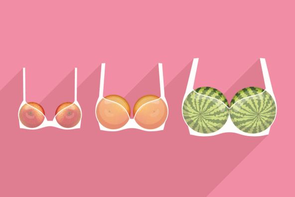 brushalteri voće.jpg