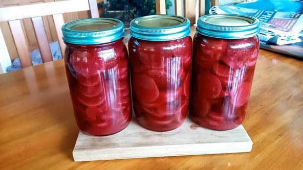 Cvekla u teglama na dasci