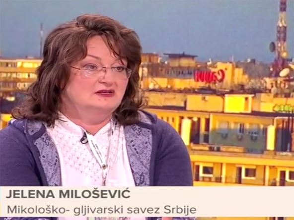 Jelena Milošević copy.jpg