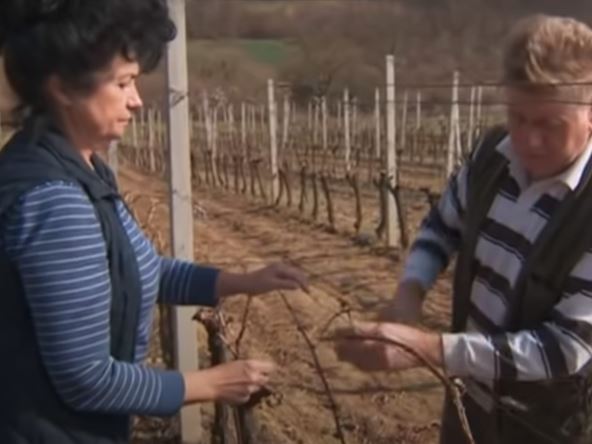 Zdravko i Višnja.jpg