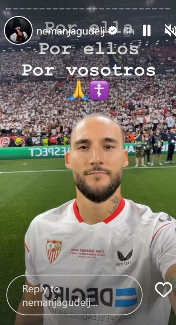 nemanja gudelj.jpg