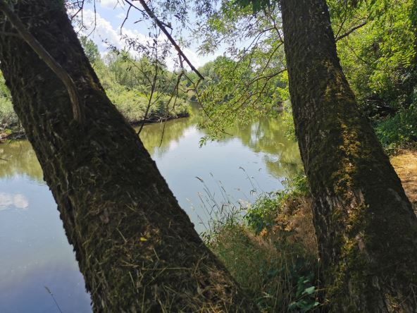 Skakanje u reku (2).jpg