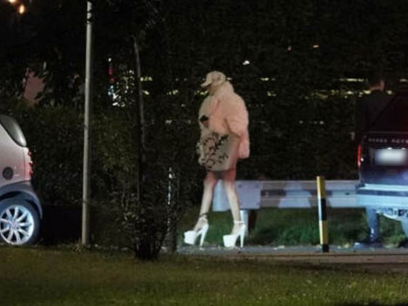 Jelena Karleuša Policija.jpeg