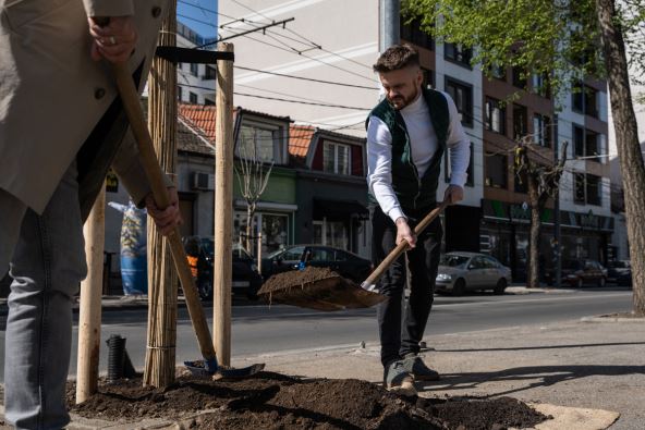 Stari grad, sadnja  (2).jpg