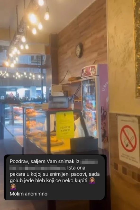 Pekara golubovi.jpg