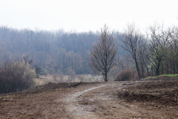 Nestala Danka Ilić devojčica iz Bora uživo