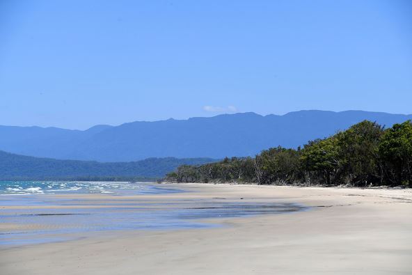 Cape Tribulation.jpg