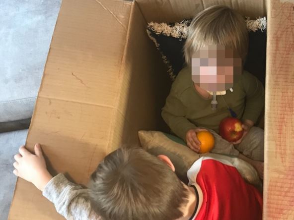 Sinovi Roba Dilejnija