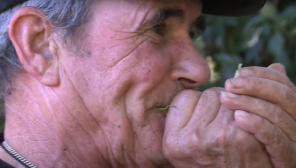 Markos Rodrigez Pantoja je odrastao sa vukovima