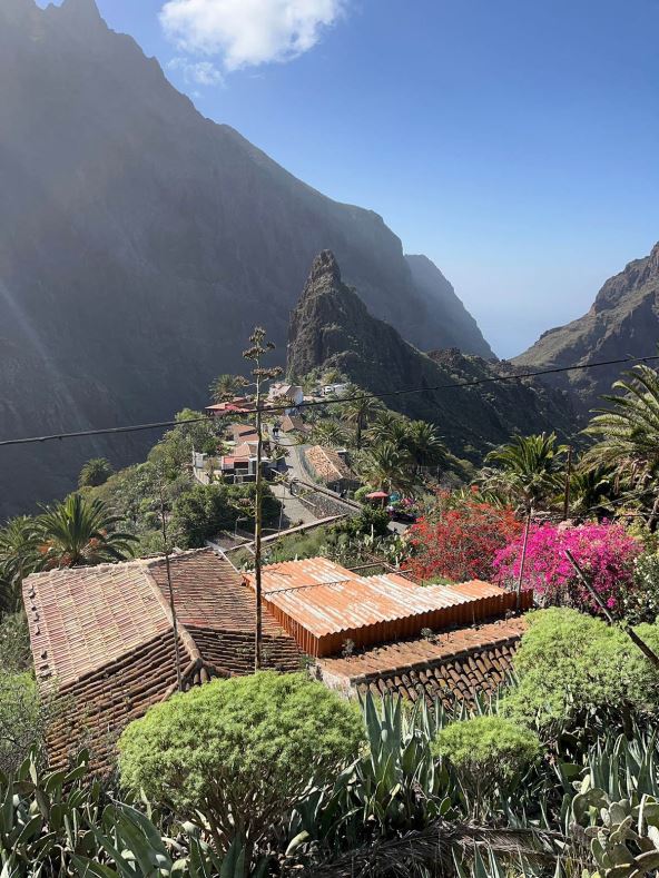 Tenerife (5).jpg