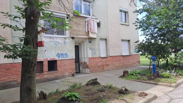 Stan Dare Bubamare u Novom Sadu