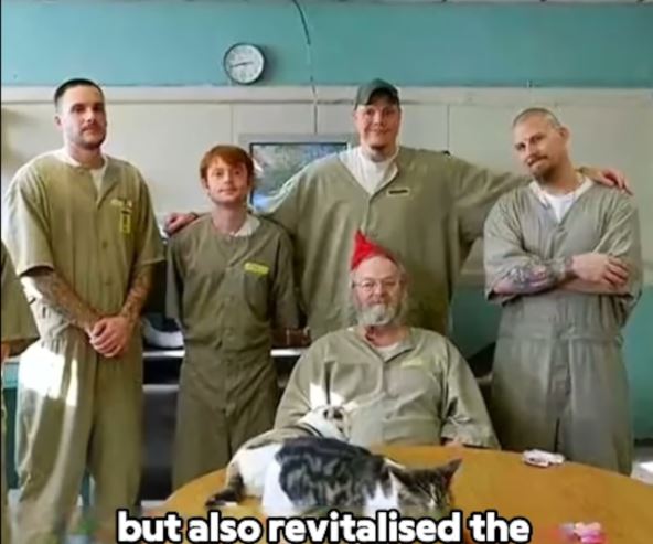 zatvorenici sa mačkom slave rođendan