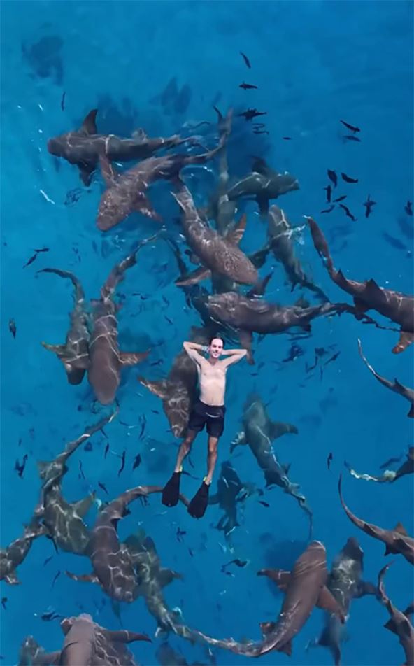 Robert Dacešin (6).jpg