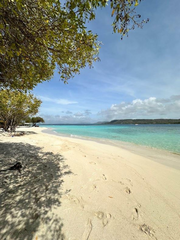 Milena se iz Venecuele preselila u Srbiju (1).jpg