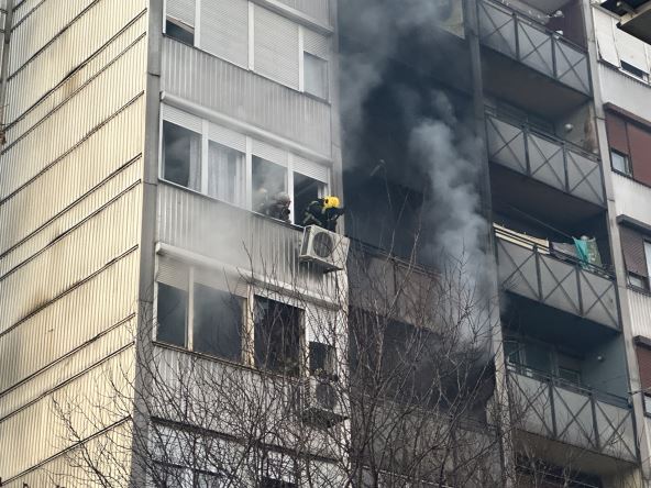 1735745215_cacak-z_pozar-fotorina3.jpg