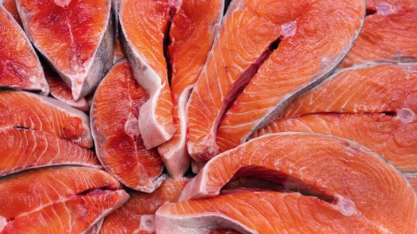 pacifička crvena riba