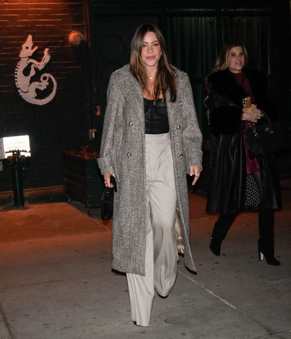 Sofija Vergara na večeri sa Hamiltonom