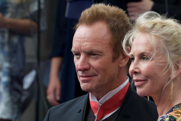 Sting (1).jpg
