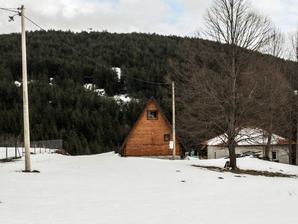 goč_planina_stefan_stojanović_6.jpg