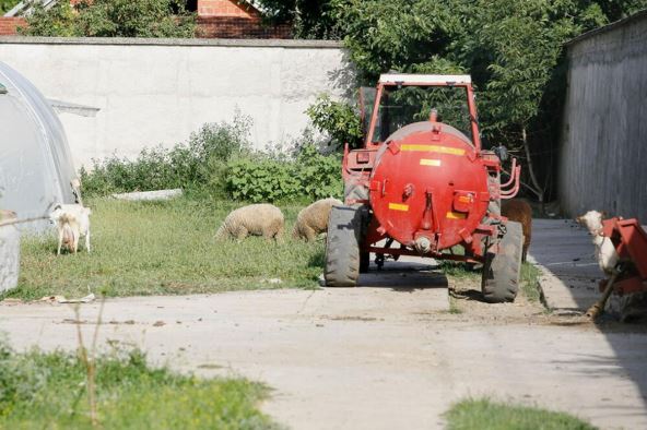 Cecina kuća u Žitorađi (1).jpg
