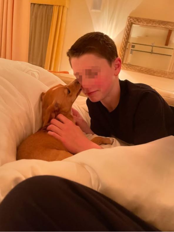 Bendažmin mazi kucu u krevetu