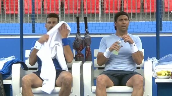 novak đoković fernando verdasko