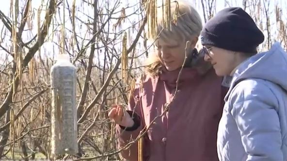 Screenshot 2025-02-24 185735 copy.jpg