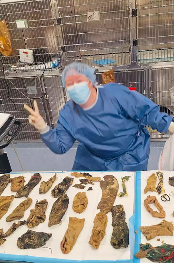 veterinarka pozira pored stvari koje su izvukli iz Luninog stomaka