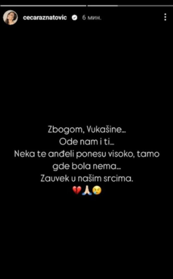 Ceca Ražnatović